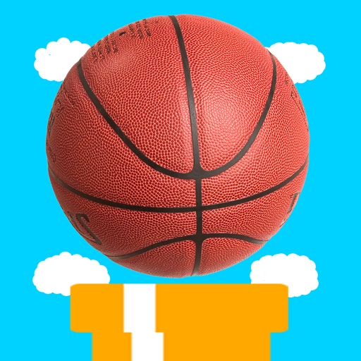 飞翔篮球Allstars的